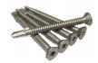 Self-tapping screw 4.8x45